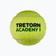 Tretorn ST1 μπάλες τένις 36 τμχ κίτρινο 3T519 474442 2