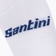 Santini Bengal χρωματιστές κάλτσες ποδηλασίας 2S652HPBENGRYXS 3
