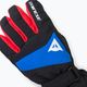 Παιδικά γάντια σκι Dainese Hp Scarabeo black taps/high risk red/lapi 4