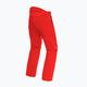 Ανδρικό παντελόνι σκι Dainese Dermizax Ev high/risk/κόκκινο 2