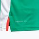 Ανδρικό μπλουζάκι τένις Diadora SS TS πράσινο DD-102.179124-70134 4