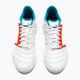 Ανδρικά ποδοσφαιρικά παπούτσια Diadora Brasil Sala Cup ID λευκό/μαύρο 13
