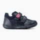 Geox Macchia dark navy παιδικά παπούτσια B164PA 2