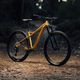 Ποδήλατο βουνού Orbea Laufey H30 2023 χρυσό N24917LX 7