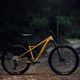 Ποδήλατο βουνού Orbea Laufey H30 2023 χρυσό N24917LX 8