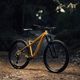 Ποδήλατο βουνού Orbea Laufey H10 μπεζ N25017LX 2023 8