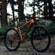 Orbea Onna 29 40 ποδήλατο βουνού κόκκινο M20817NA 14