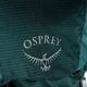 Γυναικείο σακίδιο πεζοπορίας Osprey Eja 38 l πράσινο 10004036 4