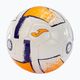 Joma Dali II ποδοσφαίρου λευκό/φθοριοπορτοκαλί/μοβ μέγεθος 5 3