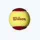 Wilson Starter Red Tballs παιδικές μπάλες τένις 12 τμχ κίτρινο και κόκκινο WRT137100 2