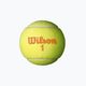 Wilson Starter Πορτοκαλί Tball παιδικές μπάλες τένις 3 τεμάχια κίτρινο WRT137300 2