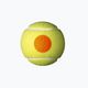 Wilson Starter Πορτοκαλί Tball παιδικές μπάλες τένις 3 τεμάχια κίτρινο WRT137300 3