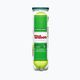 Παιδικές μπάλες τένις Wilson Starter Play Green 4 τεμάχια κίτρινο WRT137400 2