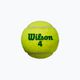 Παιδικές μπάλες τένις Wilson Starter Play Green 4 τεμάχια κίτρινο WRT137400 3