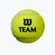 Μπάλες τένις Wilson Team Practice 4 τεμάχια κίτρινο WRT111900 2