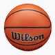 Wilson Evolution μπάσκετ καφέ μέγεθος 6 4