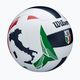 Wilson Italian League VB Official Gameball μέγεθος 5 2