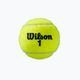 Wilson Roland Garros All Ct μπάλες τένις 3 τεμάχια κίτρινο WRT126400 2