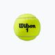 Μπάλες τένις Wilson Roland Garros Clay Ct 4 τεμάχια κίτρινο WRT115000 3