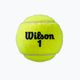 Wilson Roland Garros All Ct 4 Ball μπάλες τένις 2Pk 8 τεμάχια κίτρινο WRT116402 4