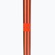 Salomon Arctic σκι στύλοι πορτοκαλί L40559100 4