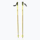 Salomon Arctic σκι στύλοι σκι κίτρινο L40559200