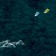 DUOTONE Evo SLS 2022 πράσινο 44220-3013 kitesurfing kite 6