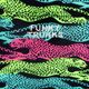 Ανδρικά Funky Trunks Sidewinder μποξεράκια για κολύμπι πολύχρωμα FTS015M7153330 4