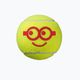 Wilson Minions Stage 3 παιδικές μπάλες τένις 3 τεμάχια κίτρινο WR8202701 2