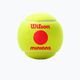 Wilson Minions Stage 3 παιδικές μπάλες τένις 3 τεμάχια κίτρινο WR8202701 3