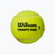 Μπάλες τένις Wilson Triniti Pro Tball 4 τεμάχια κίτρινο WR8204801001 2