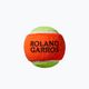 Παιδικό σετ τένις Wilson Roland Garros Elite 25 πορτοκαλί και λευκό WR086810F 14