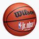 Παιδικό μπάσκετ Wilson NBA JR Fam Logo Indoor Outdoor καφέ μέγεθος 5 2