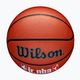 Παιδικό μπάσκετ Wilson NBA JR Fam Logo Indoor Outdoor καφέ μέγεθος 5 4