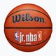 Παιδικό μπάσκετ Wilson NBA JR Fam Logo Authentic Outdoor καφέ μέγεθος 5