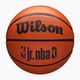 Wilson NBA μπάσκετ JR Drv Fam Logo καφέ μέγεθος 7