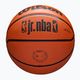 Wilson NBA μπάσκετ JR Drv Fam Logo καφέ μέγεθος 6 5