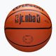 Παιδικό μπάσκετ Wilson NBA JR Drv Fam Logo καφέ μέγεθος 4 5