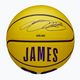 Wilson NBA Player Icon Mini Lebron κίτρινο παιδικό μπάσκετ μεγέθους 3 4