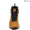 Ανδρικά παπούτσια πεζοπορίας Columbia Newton Ridge Plus II Wp elk/black 18