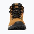 Ανδρικά παπούτσια πεζοπορίας Columbia Newton Ridge Plus II Wp elk/black 10