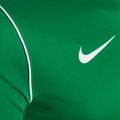 Ανδρική φανέλα ποδοσφαίρου Nike Dri-Fit Park 20 πράσινο/λευκό 3