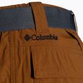 Columbia Silver Ridge II Cargo 235 καφέ ανδρικό σορτς πεζοπορίας 1794921 9