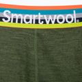 Ανδρικό Smartwool Merino Sport 150 Boxer Brief Boxed θερμικό μποξεράκι πράσινο SW017342B45 3