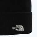 Ανδρικό σκουφάκι πεζοπορίας The North Face Norm Beanie black 2