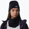 Ανδρικό σκουφάκι πεζοπορίας The North Face Norm Beanie black 3