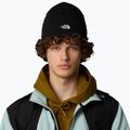 Ανδρικό σκουφάκι πεζοπορίας The North Face Norm Beanie black 4