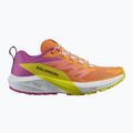 Salomon Sense Ride 5 γυναικεία παπούτσια τρεξίματος bird of paradise/white/sulphur spring 9