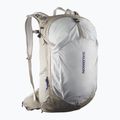 Σακίδιο πεζοπορίας Salomon Trailblazer 30 l χακί/γκρι παγετώνας