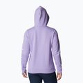 Columbia Trek Graphic Hooded Purple Γυναικείο φούτερ Trekking 1959881 2